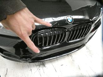 BMW X1 SDRIVE18I picture 15