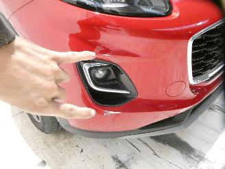 Ford Puma TITANIUM DESIGN picture 14
