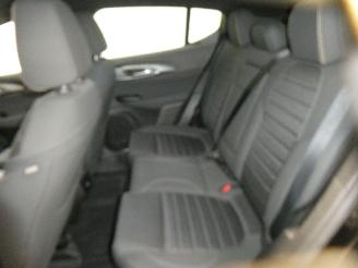 Alfa Romeo Tonale IBRIDA picture 17