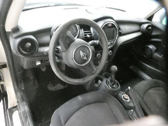 Mini One 1.5D  D picture 18