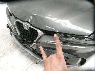 Alfa Romeo Tonale 1.6D picture 5