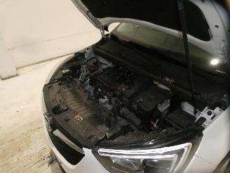 Opel Crossland X/CROSSLAN picture 20