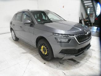 Skoda Kamiq AMBITION picture 14