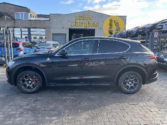  Alfa Romeo Stelvio Q4 ENGINE OUT 2019/4