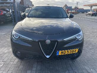 Alfa Romeo Stelvio Q4 ENGINE OUT picture 4