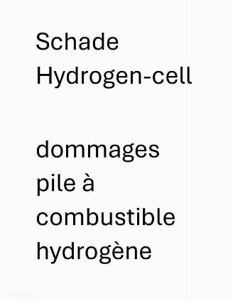 Hyundai Nexo FCEV PRIME picture 2