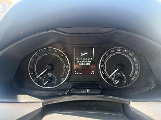 Skoda Scala 1.6 AMBITION picture 19