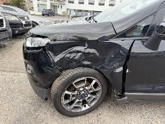 Ford EcoSport 1.0 TITANIUM picture 13