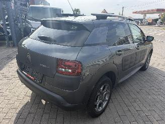 Citroën C4 cactus 1.2I PURE TECH picture 10