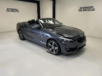  BMW 2-serie SPORTLINE AUTOMAAT 2019/3