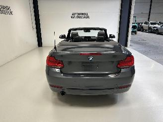BMW 2-serie SPORTLINE AUTOMAAT picture 4