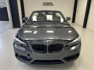 BMW 2-serie SPORTLINE AUTOMAAT picture 7