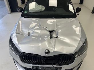 Skoda Fabia MONTE CARLO picture 9