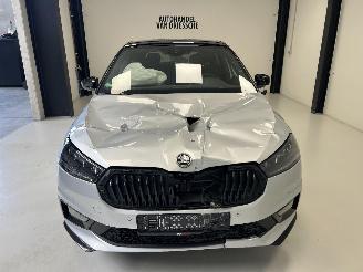 Skoda Fabia MONTE CARLO picture 8