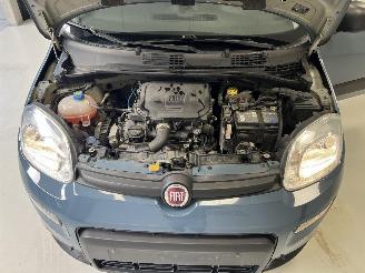 Fiat Panda CITY LIFE picture 9