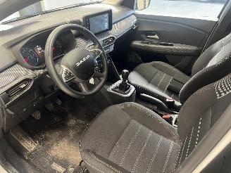 Dacia Sandero STEPWAY picture 12