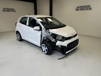 Avarii autoturisme Kia Picanto  2024/2