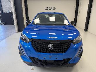 Peugeot 2008  picture 9