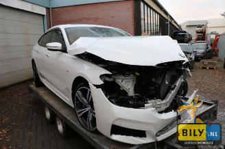  BMW 6-serie G32 3.0dX 2017/8