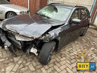 disassembly passenger cars BMW 3-serie 330i Touring 2020/1