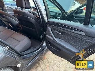 BMW 5-serie F11 1 520D N47  sophisto-grau Brillanteffekt metallic picture 23