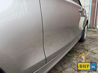 BMW 1-serie BMW E88 118i N43 kaschmir-silver metallic picture 5