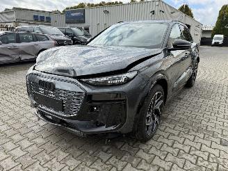 Audi Q6 Q6 e-Tron 306 pk Performance  S-line /Panorama picture 1