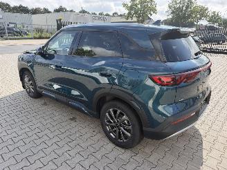 BYD  Atto 2 1.5 DM-i 156 kw boost plug-inn picture 6