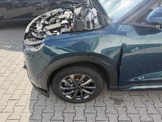 BYD  Atto 2 1.5 DM-i 156 kw boost plug-inn picture 15