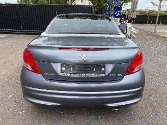 Peugeot 207 CC SPORT picture 12