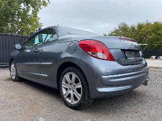 Peugeot 207 CC SPORT picture 11
