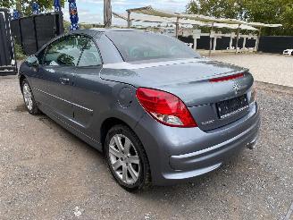 Peugeot 207 CC SPORT picture 10