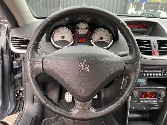 Peugeot 207 CC SPORT picture 26