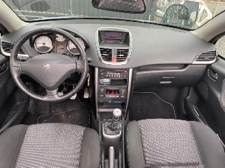 Peugeot 207 CC SPORT picture 25
