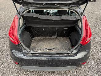 Ford Fiesta TITANIUM picture 13