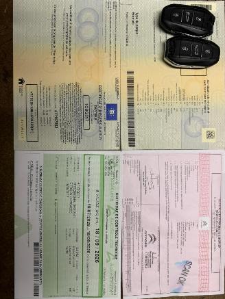 Citroën C4-picasso PICASSO II SHINE picture 30