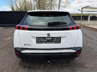 Peugeot 2008 II ACTIVE picture 12