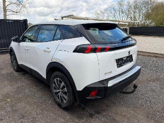 Peugeot 2008 II ACTIVE picture 10