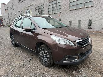 Peugeot 2008 ACTIVE picture 2