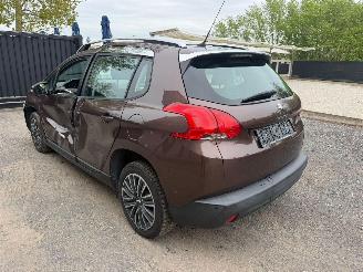 Peugeot 2008 ACTIVE picture 13