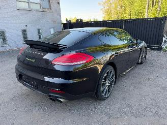 Porsche Panamera S E-HYBRID picture 19