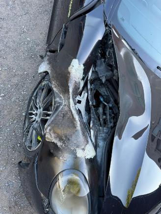 Porsche Panamera S E-HYBRID picture 8