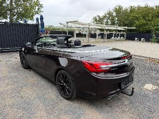Opel Cascada COSMO picture 13