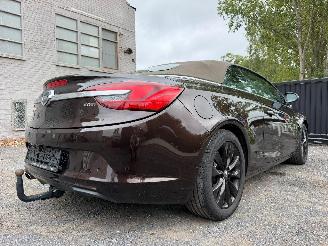 Opel Cascada COSMO picture 18