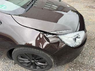 Opel Cascada COSMO picture 4