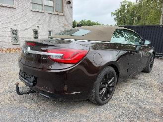 Opel Cascada COSMO picture 19