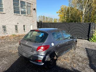 Peugeot 206 1.2I picture 22