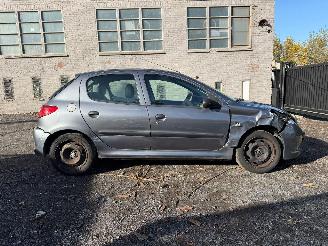 Peugeot 206 1.2I picture 2