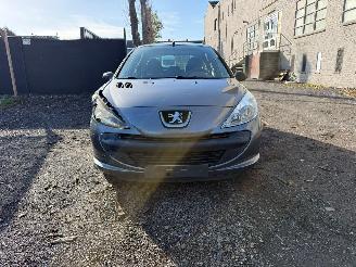 Peugeot 206 1.2I picture 7