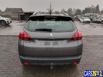 Peugeot 2008  picture 5